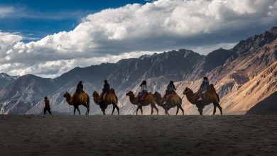 Nubra- One of the beautiful places near Leh