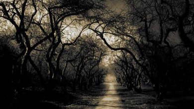 One of the most haunted places in Goa