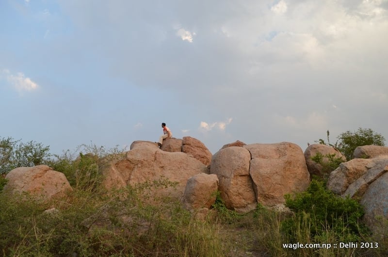 Parthasarathy Rocks