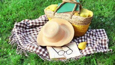 Picnic Spots Near Bangalore