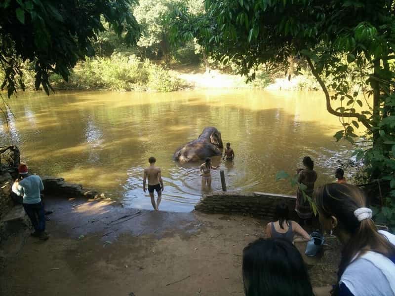 Safari Tour