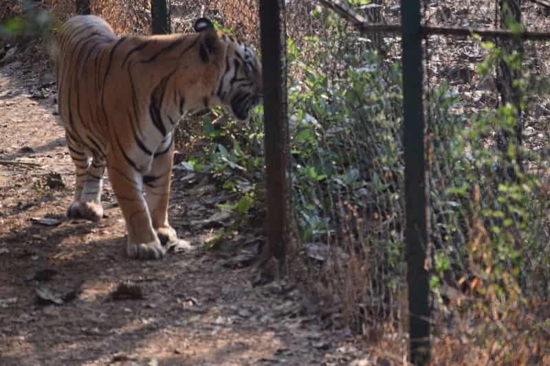 12 National Park Mumbai | National Park Near Mumbai | Treebo Blogs 12 National Park Mumbai | National Park Near Mumbai | Treebo Blogs