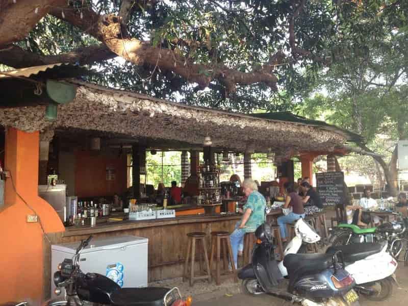 The Mango Tree