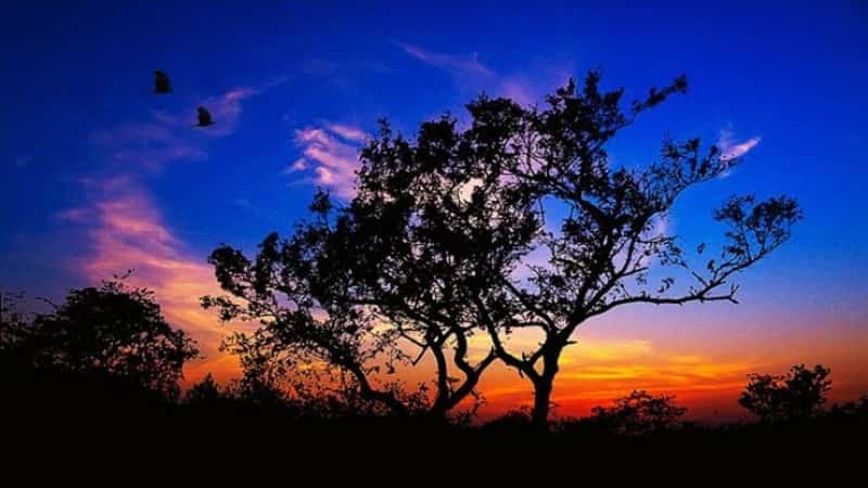 Things to do in Delhi at Night 