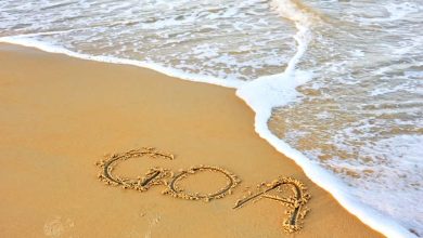Things to do in South Goa