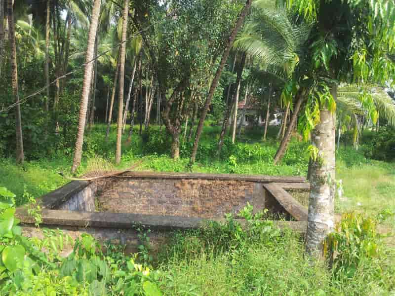 Udear Springs