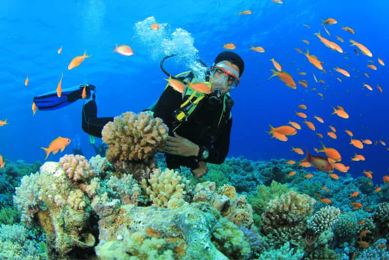 Uma Guma Reef