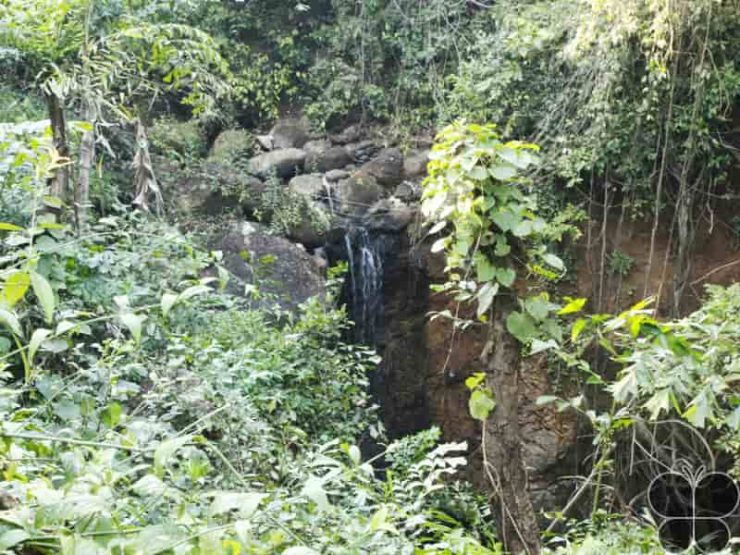 8 Beneficial Natural Springs in Goa - Treebo Blog