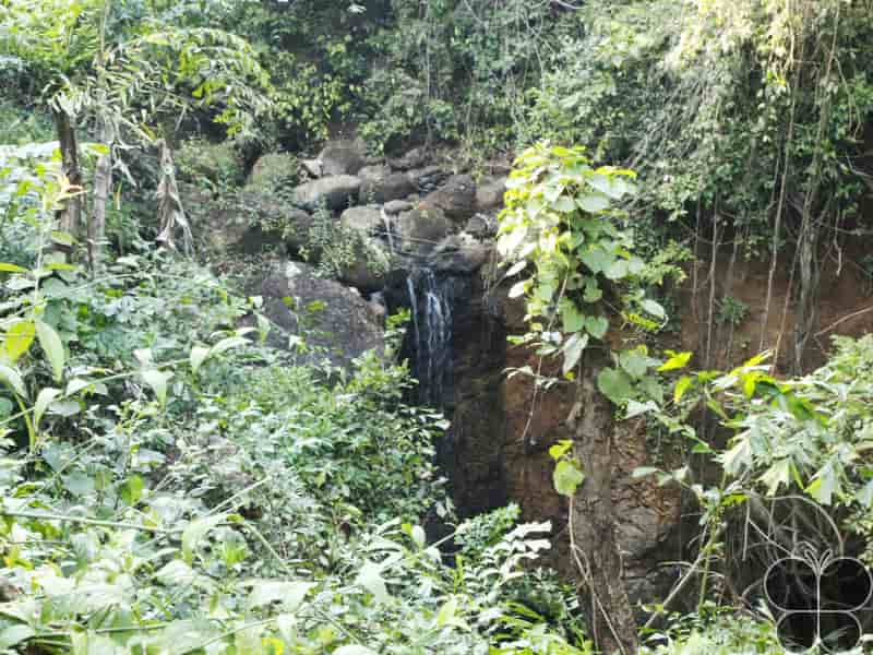 Vhoddli and Dhakti Springs