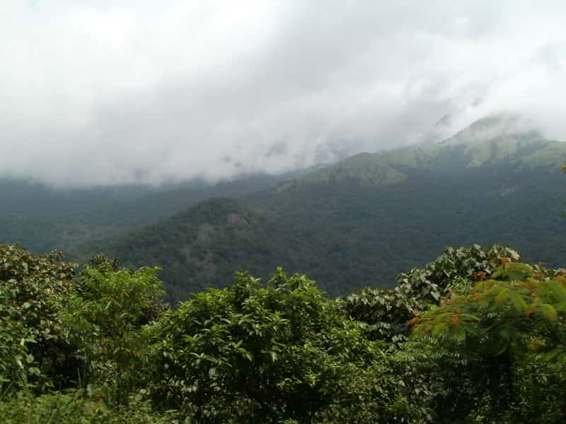 Western Ghats at Sakleshpur