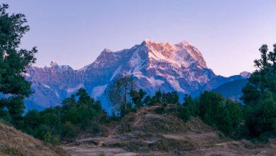 Wildlife Sanctuaries Near Bangalore