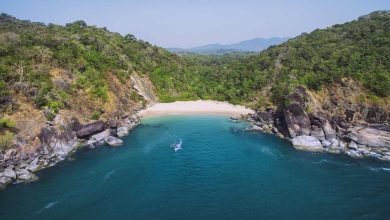 3 Scenic Road Trips From Hyderabad To Goa
