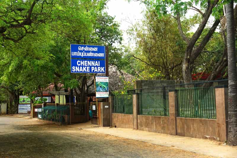 Guindy Snake Park