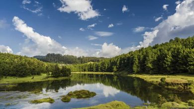 Honeymoon Destinations Near Bangalore