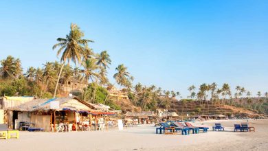 The 17 Best Beach Shacks in Goa For A Fun Time