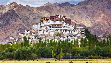 The Best Time to Visit Leh Ladakh