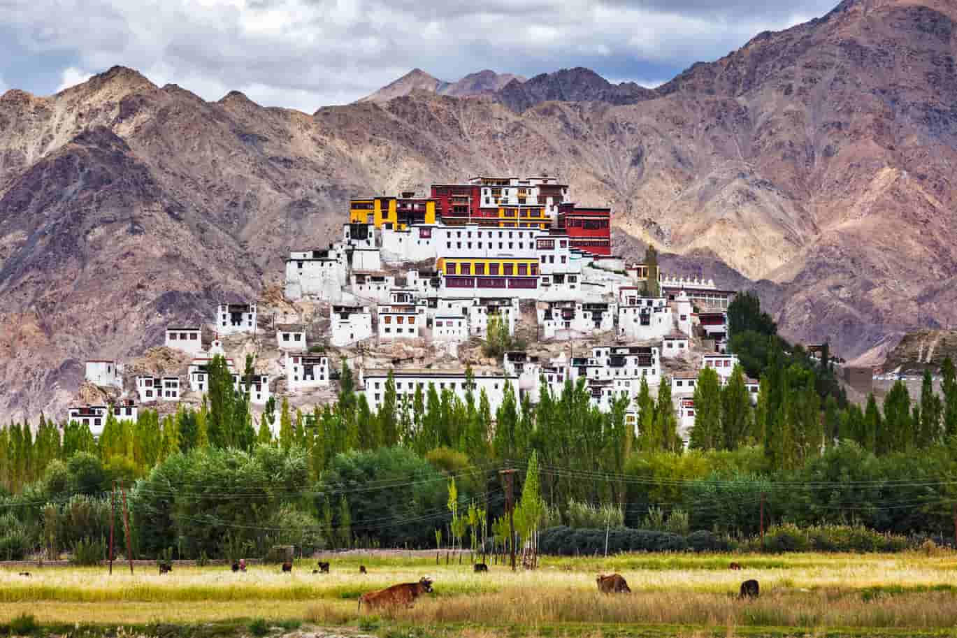 best time to visit leh ladakh