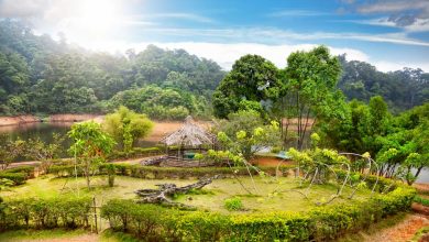 Looking for a new travel experience, combining nature and adventure? Try visiting these 14 wildlife sanctuaries in Hyderabad.