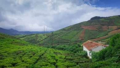 18 Splendid Tourist Places Near Bangalore