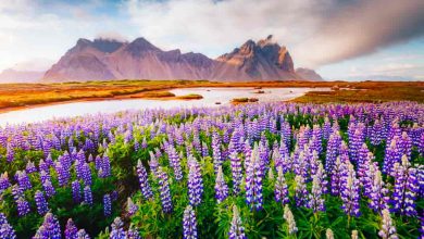 Snow, Sand & Road- The 21 Most Beautiful Places In India