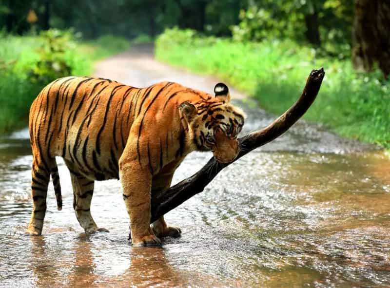 Places To Visit Near Hyderabad