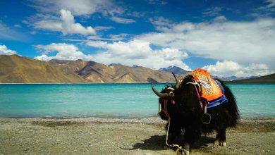 The Total Cost of a Ladakh Trip