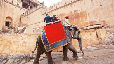 Adventure Activities in Jaipur