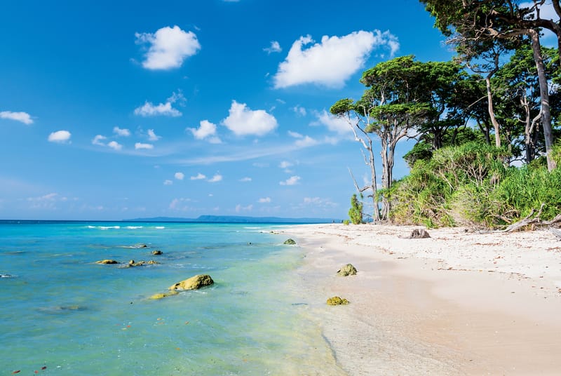 Holiday Destinations in India