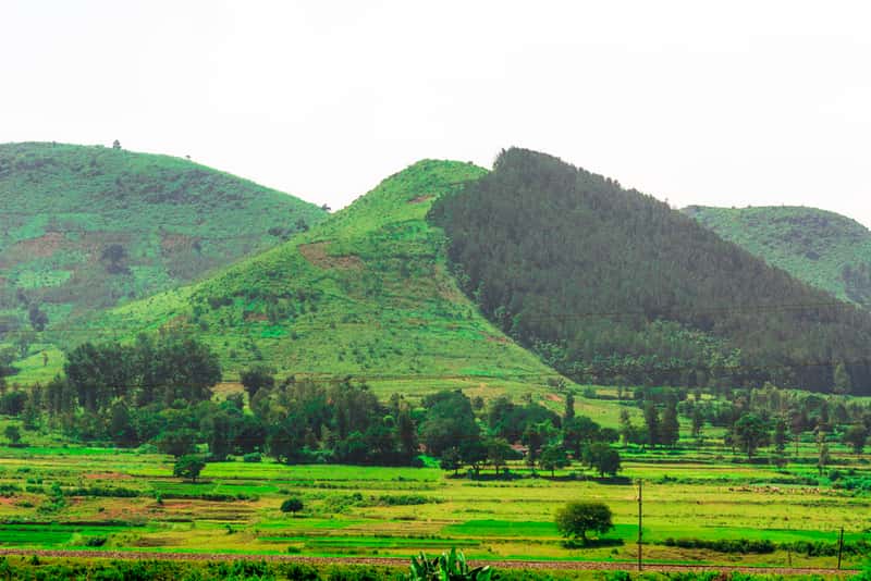 Araku Valley