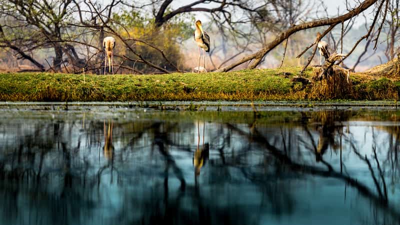 Bharatpur | Places to Visit Near Jaipur in One Day
