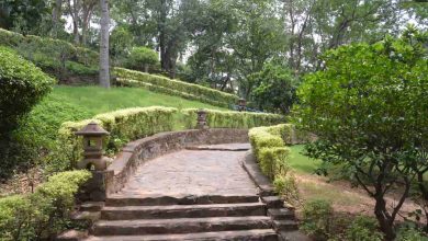 Experience East India With 21 Places to visit near Kolkata