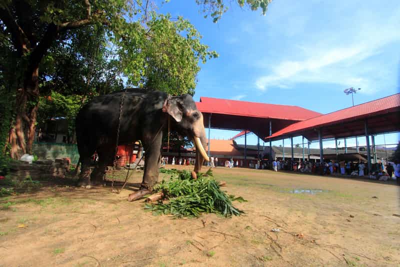 Guruvayur