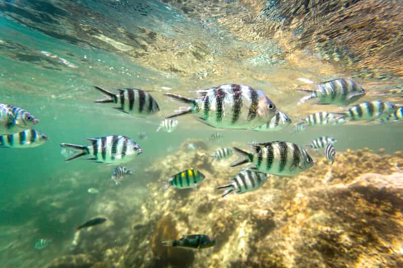 Mahatma Gandhi Marine National Park