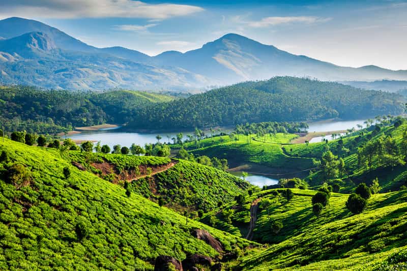 12 BEST PLACES TO VISIT IN MARCH IN INDIA FOR A FUN-FILLED GETAWAY - WanderQuest Munnar, Kerala - Best Places to Visit in March in India