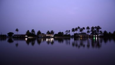 Things to do in Alleppey at Night