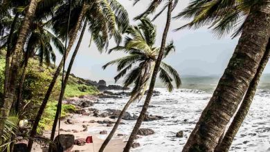 Vacation Places in India