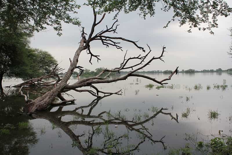 One Day Picnic Places near Ahmedabad