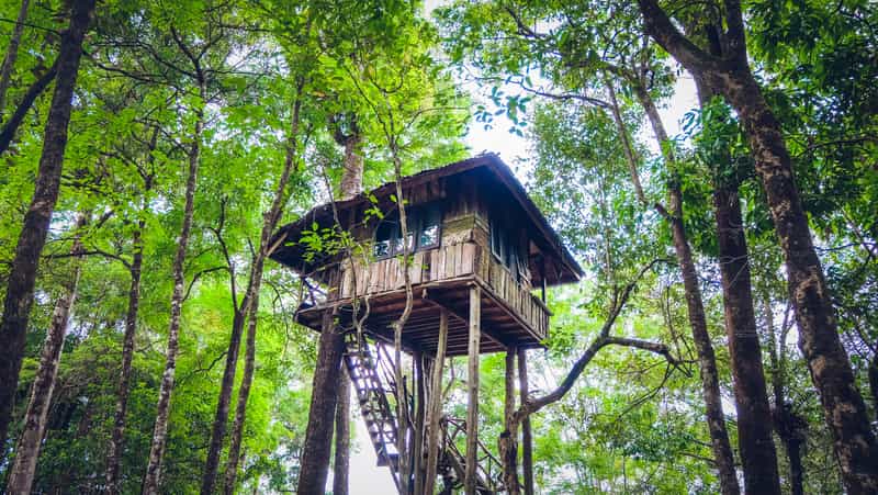 A tree house at the Nirvana Farm