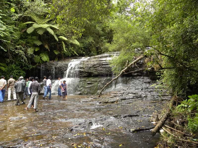 Bear Shola Falls