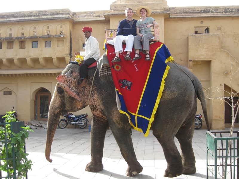 Elephant Rides
