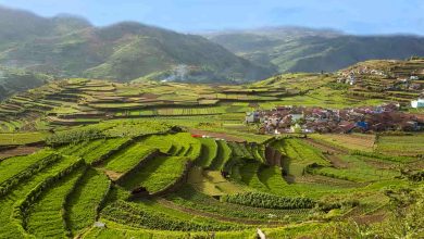 Kodaikanal For One Day