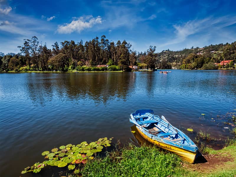 Kodaikanal | Places to Visit Near Alleppey