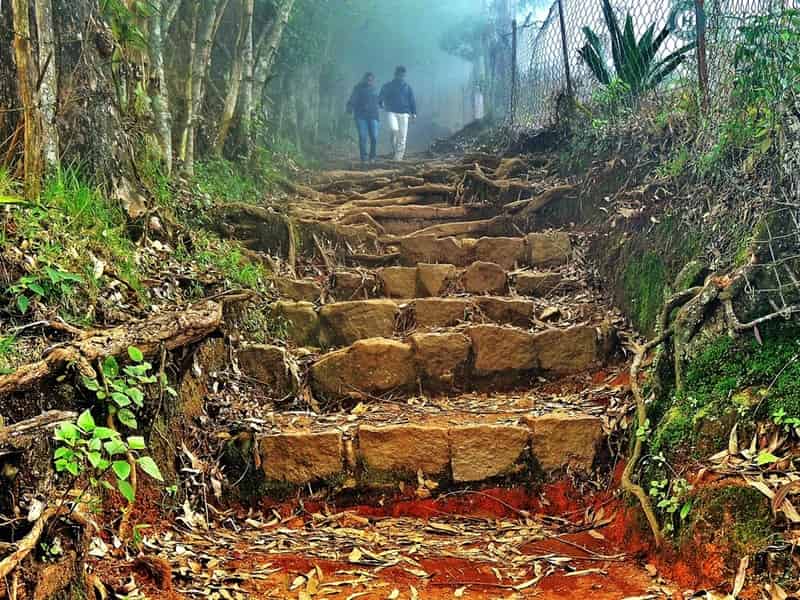 Munnar trekking