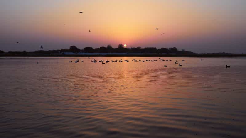 Nalsarovar