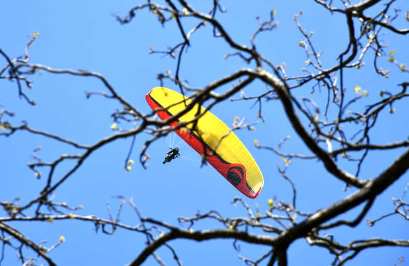  Paragliding in Nainital