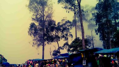 Shopping In Kodaikanal