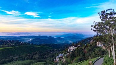 The Most Amazing Hill Stations Near Ahmedabad