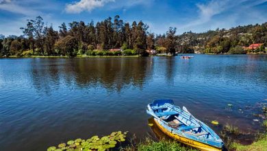 Things To Do In Kodaikanal