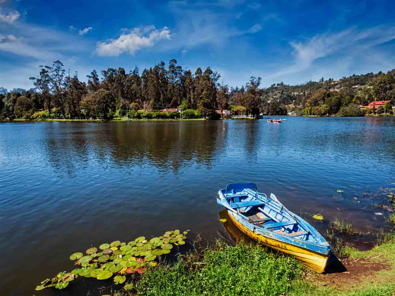 12 Awesome Things To Do In Kodaikanal Treebo Blog