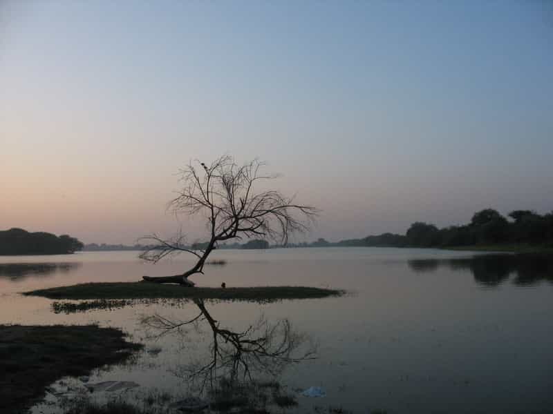 Thol Bird Sanctuary